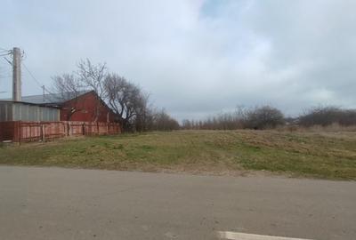 Teren intravilan Valcelele Jud Calarasi - 6