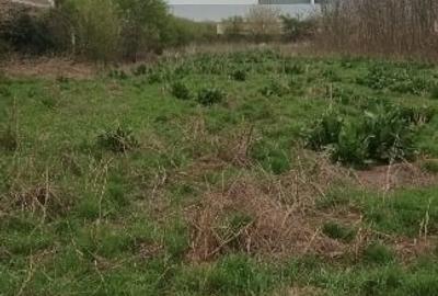 Teren intravilan arabil 3846 mp, Topraisar.Zona buna,sub pretul pietei. Pt locui - 8
