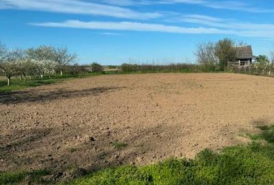 Casă individuală cu 3 camere cu Teren 2600 Mp în Central - 4