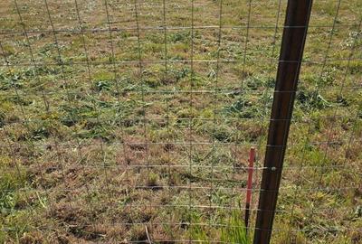 Teren de 676 mp, în Calea Aradului - 5