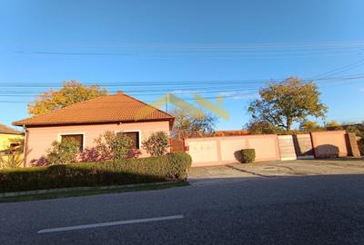 Casă individuală cu 5 camere cu Canalizare în Vladimirescu - 28