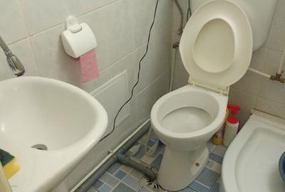 Garsonieră nedecomandată în Deve - 1