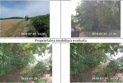 Teren padure, cota de 1/48 Horgesti, ID: R2325871 - 2