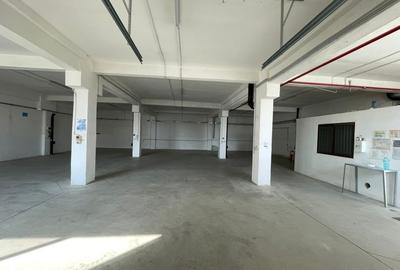 Spațiu industrial, de 363 mp, în Freidorf - 2