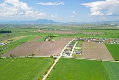 Teren Intravilan - 6