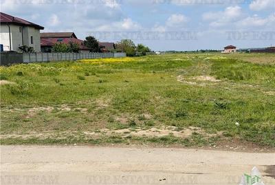 Teren intravilan 1.7 ha Dragomiresti Vale-Zurbaua, deschidere 34m la strada asfa - 4