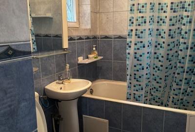 Apartament cu 2 camere semidecomandat în Dosu Bricii - 2
