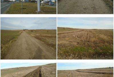 Teren extravilan arabil Ghimpati, ID: R1964895 - 1