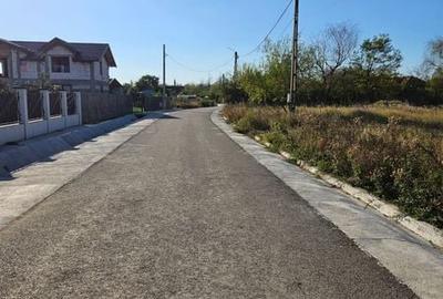 Teren de 625 mp, în Albota - 4