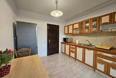 Apartament cu 2 camere decomandat, mobilat în Găvana 3 - 14