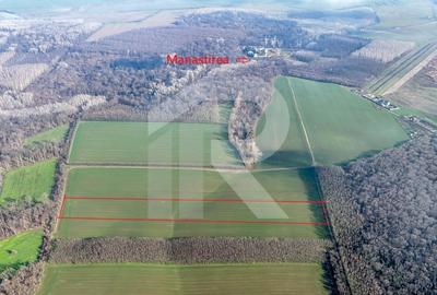 Teren langa Manastirea Sfantul Nicolae Sitaru - 8