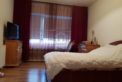 Proprietate deosebita in Targu Neamt - posibiltate transformare pensiune - 46
