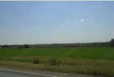 Teren cota parte 1/6, Branistea, ID: R2757177 - 4