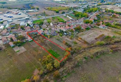 De vanzare casa cu teren de 3036 mp in Bors - 19