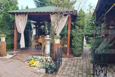 Complex Hotelier 4 stele, 1480 mp utili, teren 1380 mp, Timi - 3