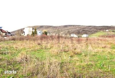 Teren de 3700 mp, în Aninoasa - 2