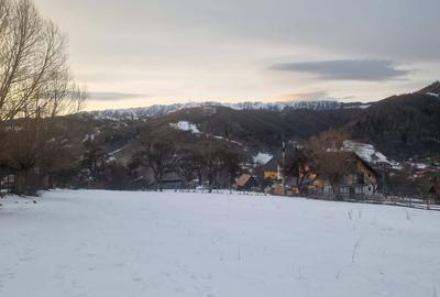 Teren de 1500 mp, în Moieciu - 3