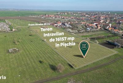 Teren de 16157 mp, în Pișchia - 3