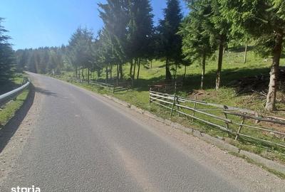 Teren de 1000 mp, în Măguri - 1