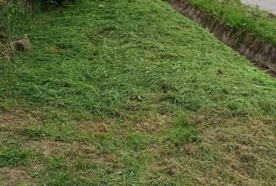 Teren de 500 mp, în Independența - 5