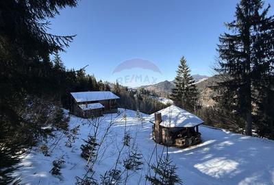 Cabana in inima muntilor, langa partia de schi din Borsa, teren 2200mp - 3