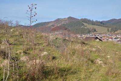 Teren cu suprafata de 3360 mp in Gura Humorului-Toaca-Boureni - 17