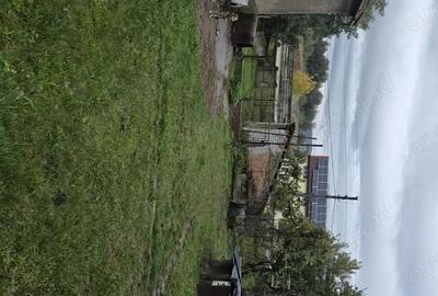 Casă cu 2 camere în Strei - 3