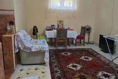 Casă cu 5 camere cu Teren 3040 Mp în Tămășeu - 3