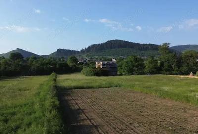 Teren de 10304 mp, în Slatina - 2