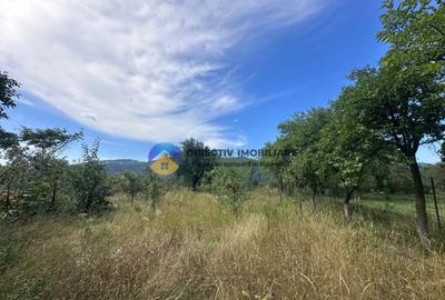 Teren + Casa de Vanzare 1170 mp Dumbrava Ro?ie, N - 10