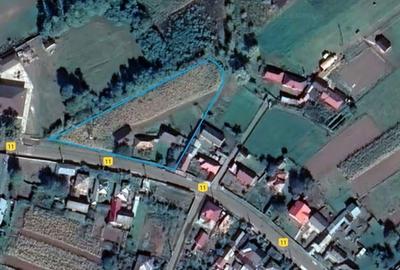 Casă cu 3 camere cu Teren 3600 Mp în Fântâna Mare - 4