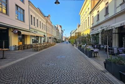 Bijuterie Art Nouveau in inima Oradiei - apartament ultracentral pe Str. Vasile - 4