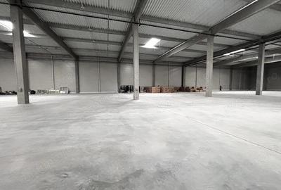 Hala Industriala Noua 2025 Acces Rapid la Autostrada - 7000 mp - 9