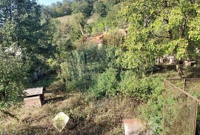 Casa individuala cu teren generos - 1