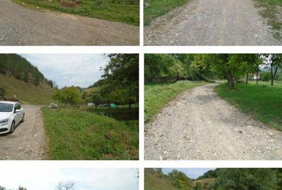 Teren extravilan-Loc. Roscani, comuna Dobra, judetul Hune... - 5