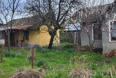 Casă cu Teren 2000 Mp în Plenița - 1