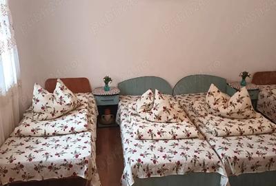 Casă cu 5 camere în Râu Sadului - 6