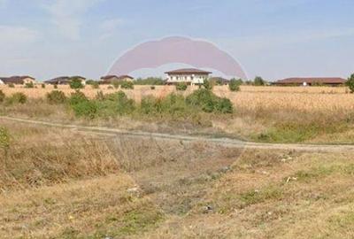 Teren de 1500 mp, în Central