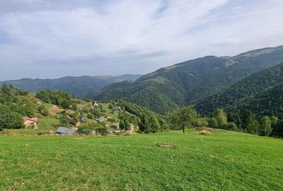 Vand teren la munte pentru cabana - 7