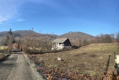 TAUTII MAGHERAUS strada 74 teren intravilan de aprox 36ari ! - 1