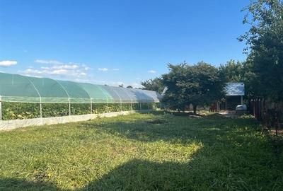 Vanzare casa Catunu - 7