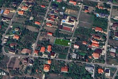 Teren de 1013 mp, în Brănești - 3