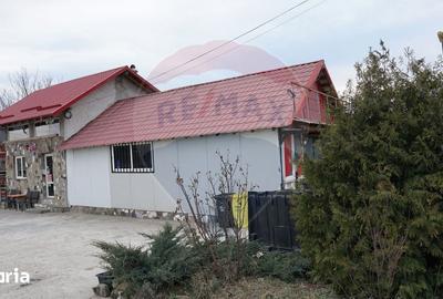 Spațiu comercial, de 150 mp, în Traian - 3