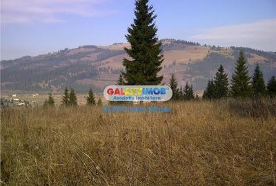 Teren pentru Complex Turistic - 12 730 mp  - Vatra Dornei - 2