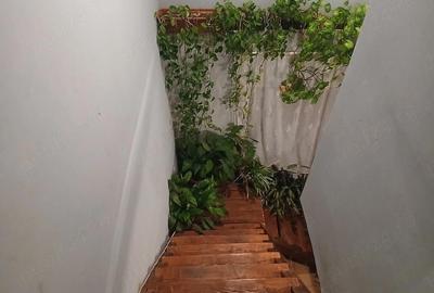 Casă cu Teren 18000 Mp în Vaida-Cămăraș - 8