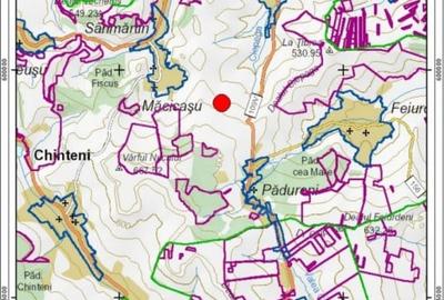 Teren in Padureni - Chinteni, 5800 mp, intravilan, Lv1 - viitoare constructii - 5