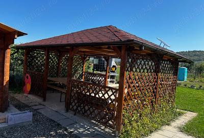 Teren de 750 mp, în Buhocel - 6