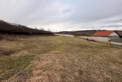 Teren de 1863 mp, în Vest - 4