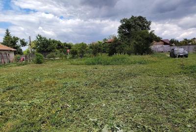 Teren de 5000 mp, în Corbii Mari - 5