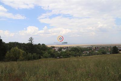 Teren intravilan cu PUZ si PUD 2 loturi - 6